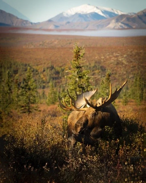 _RON3675-Edit-Edit Medium.jpeg