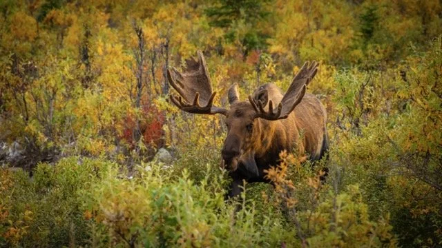 _RON2777-Edit Medium.jpeg