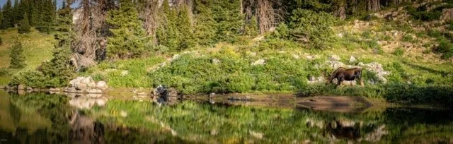 _RON2715-Pano Medium.jpeg