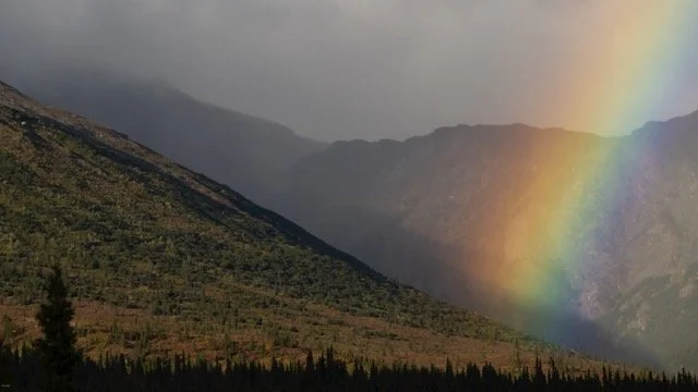 _RON3532 Medium.jpeg