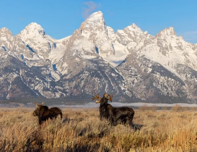 _P1A7113p Medium.jpeg