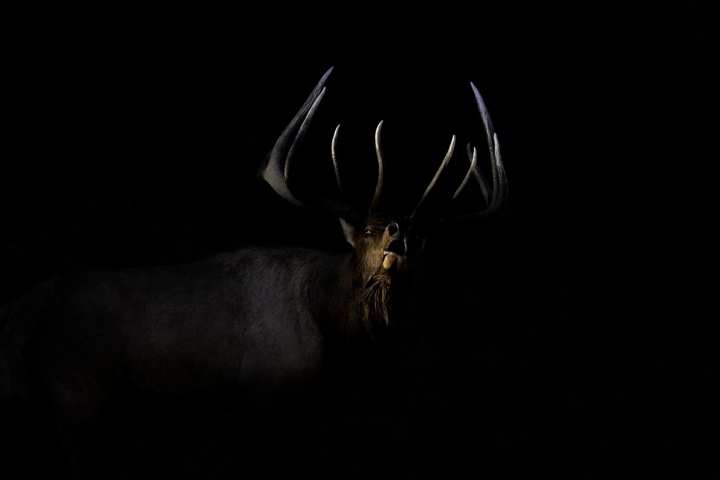 DSC_2787p_36X24 2.jpeg