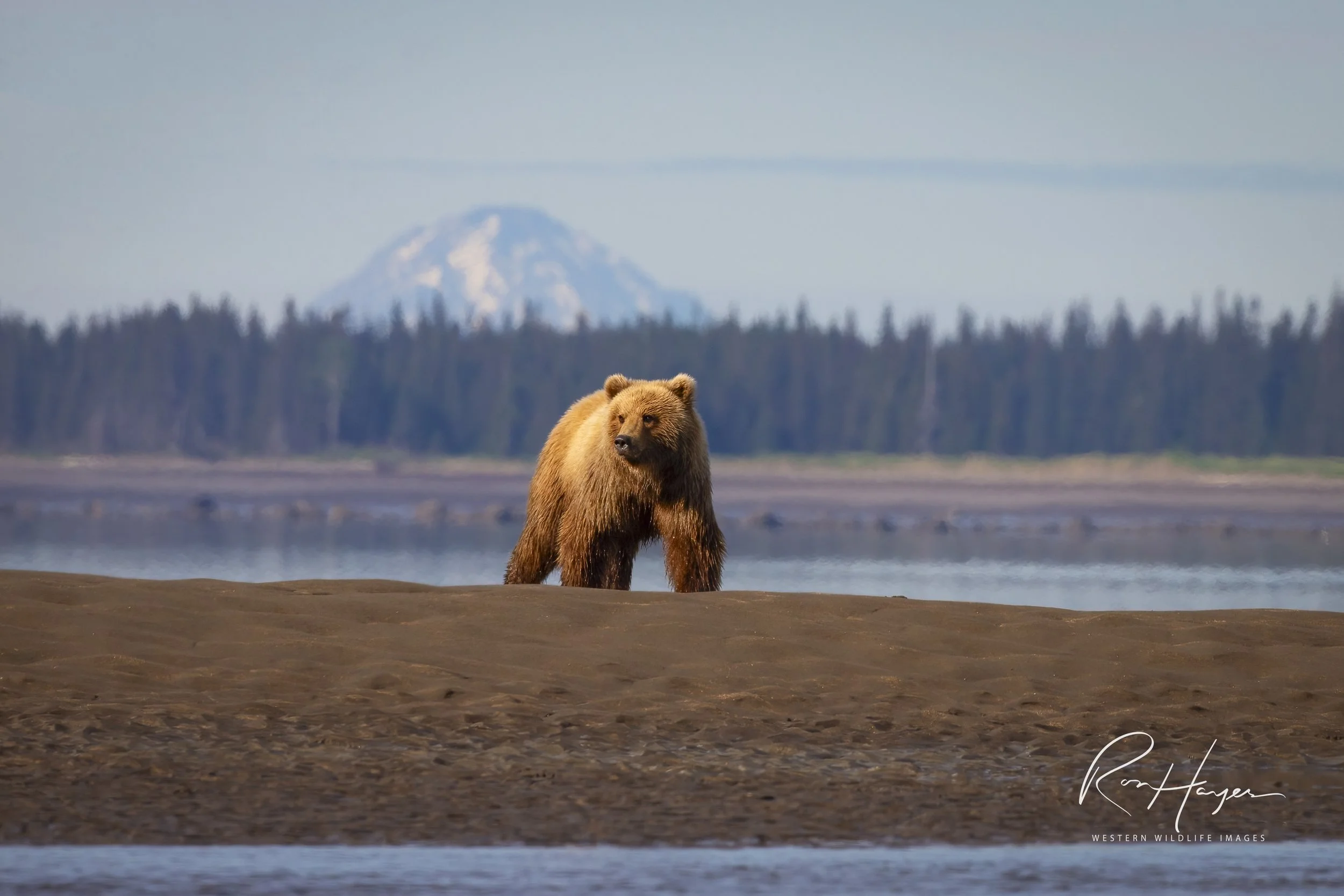 _J0Q9776-Edit-Edit-2 2.jpeg