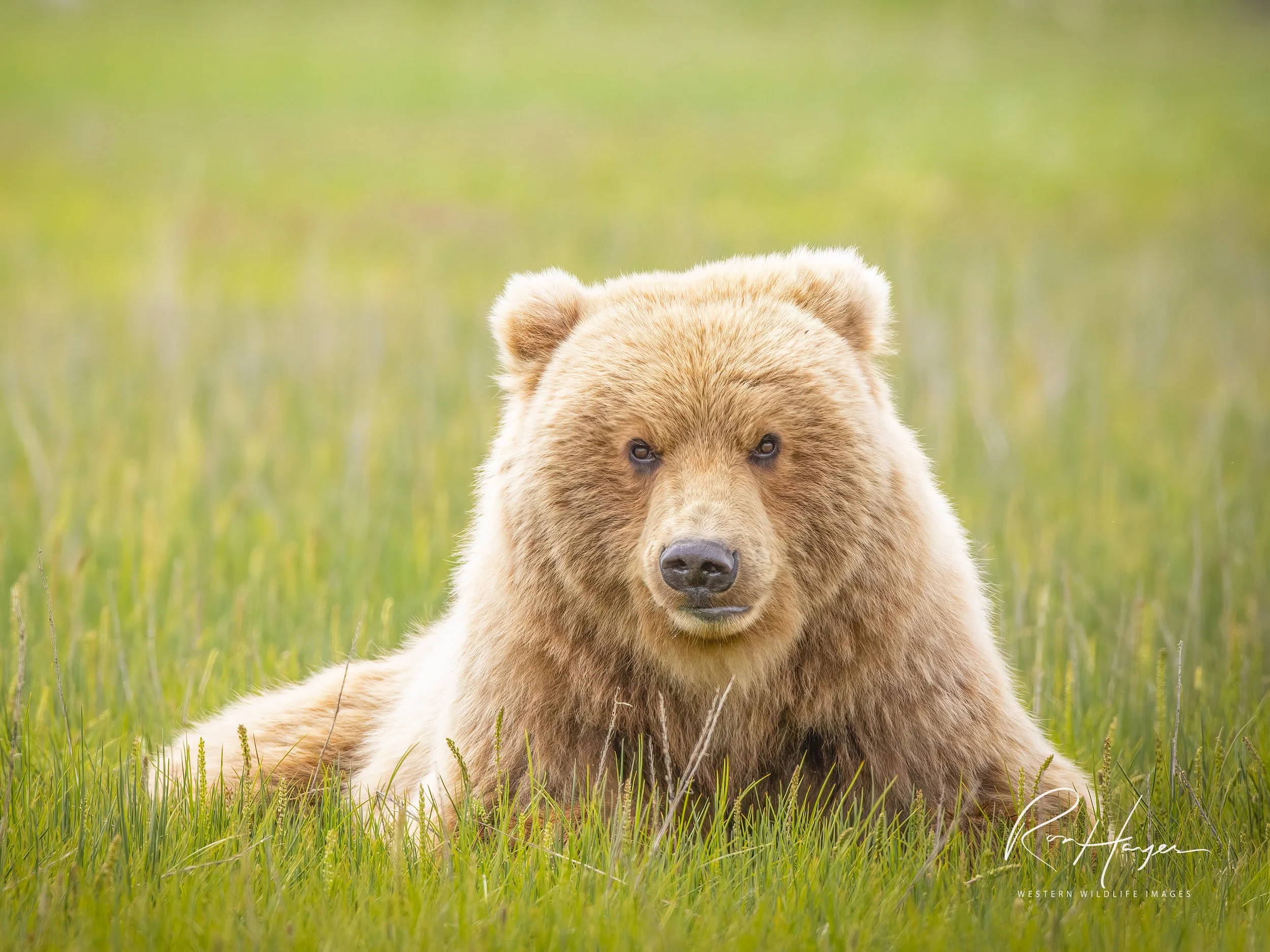 _J0Q9173-Edit-Edit-2 2.jpeg