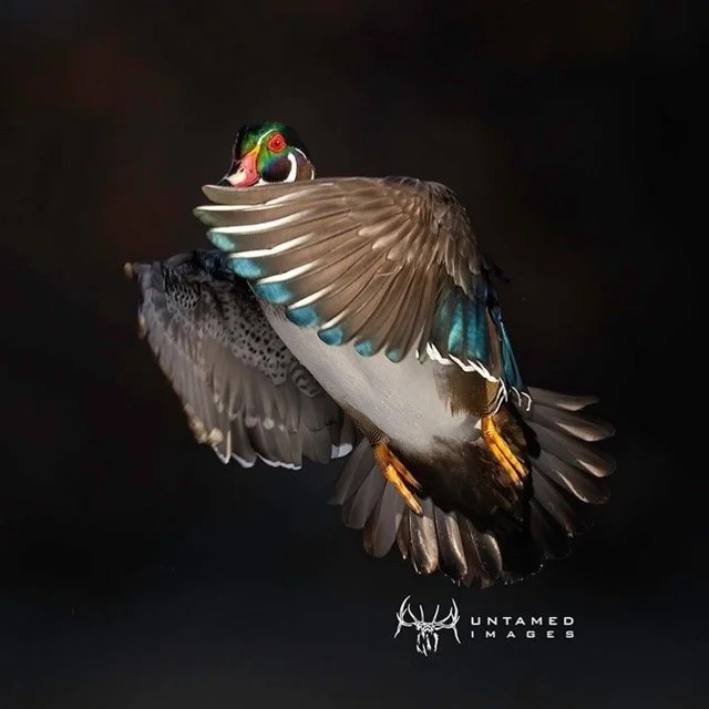 317999577_3368541903403979_677192496118563208_n Medium.jpeg