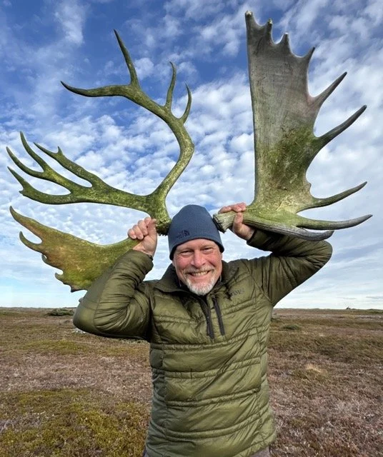MARK RAYCROFT - CARIBOU - NEWFOUNDLAND 2025 -CLOSEUP Medium.jpeg