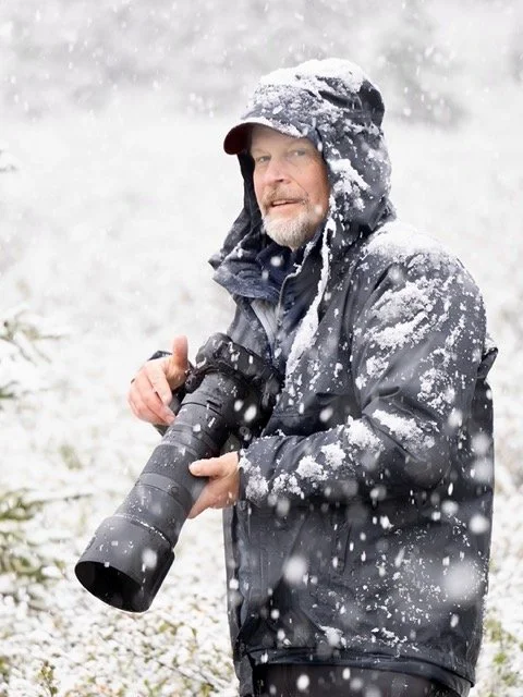 Mark Raycroft_snowy moose hike_small Medium.jpeg