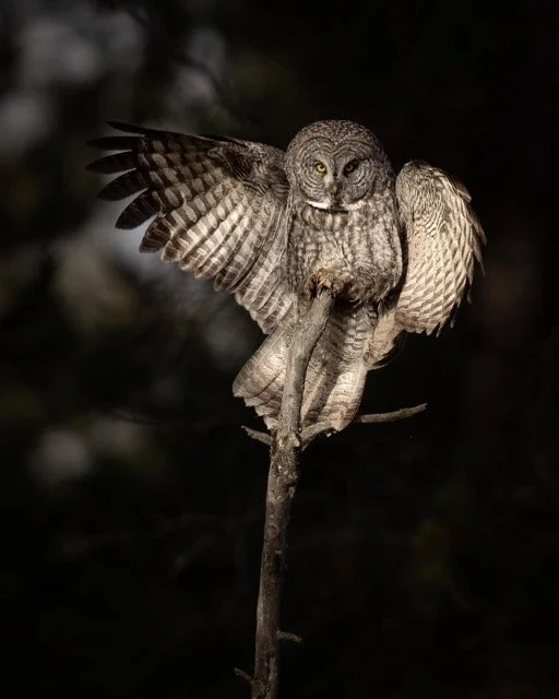 248757874_937919230162146_8543846802867750926_n Medium.jpeg