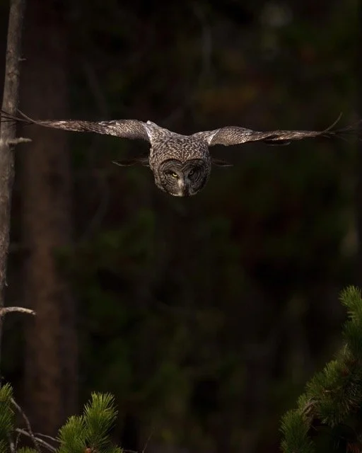 253731442_2395286783935220_5109863506226130135_n Medium.jpeg