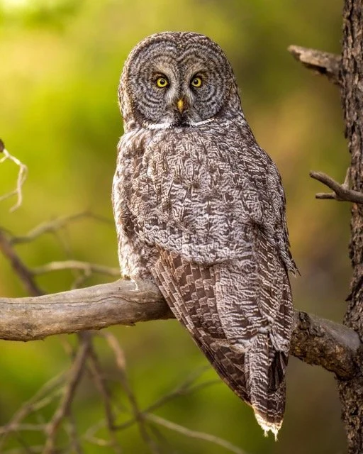 254873553_269471548446818_6786513546661783731_n Medium.jpeg