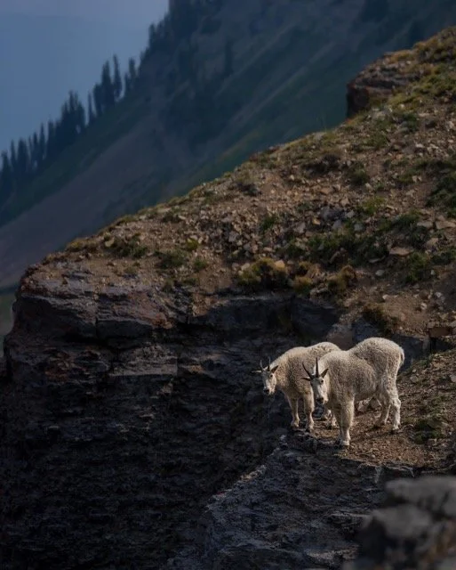 266041328_219238020273715_5598049603259396319_n Medium.jpeg