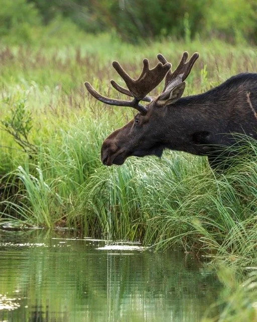 298983733_830304705008237_533845551506386353_n Medium.jpeg