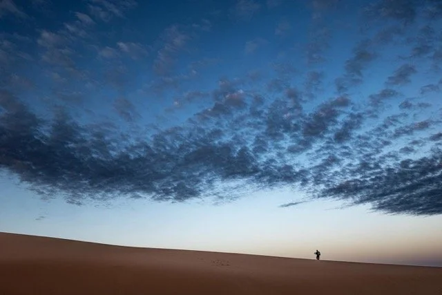 275214091_670373777612541_8428171986697266829_n Medium.jpeg