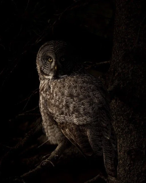 278947046_390175309649399_5278048199656115947_n Medium.jpeg