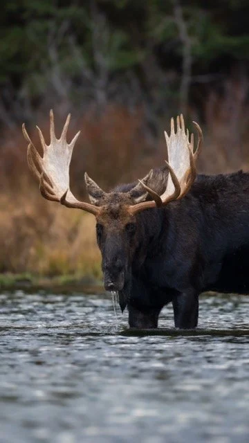 image00002 Medium.jpeg