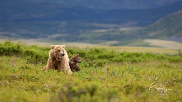 _C5A0028-2-Edit Medium.jpeg