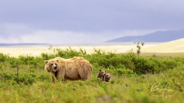 _C5A0305-2-Edit Medium.jpeg