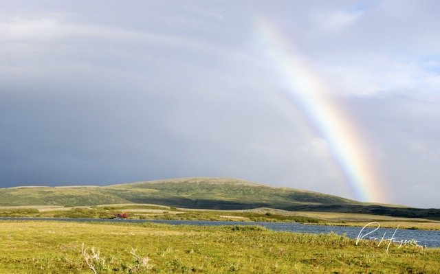 _C5A0549-Pano-2 Medium.jpeg