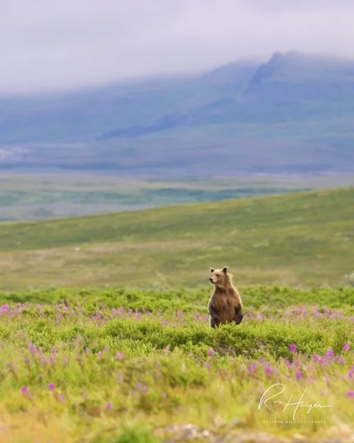 _C5A0767-2-Edit Medium.jpeg