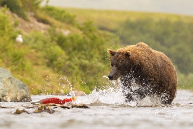 _C5A0885-2-Edit Medium.jpeg