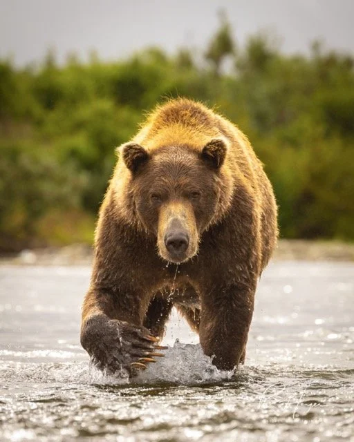 _C5A1201-2-Edit Medium.jpeg