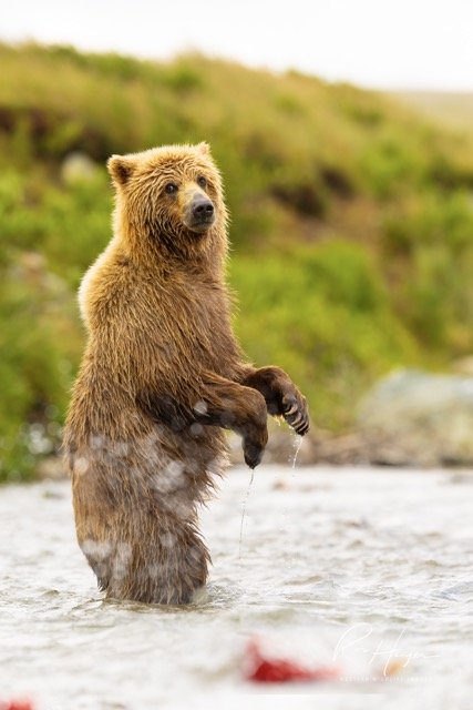 _C5A2098-2-Edit Medium.jpeg