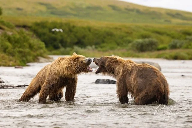 _C5A2405 2-2-Edit Medium.jpeg