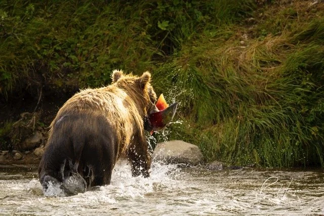 _C5A3270-2-Edit Medium.jpeg