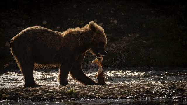 _C5A4296 2-2 Medium.jpeg