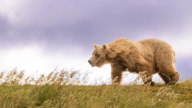 _C5A4448-2-Edit Medium.jpeg