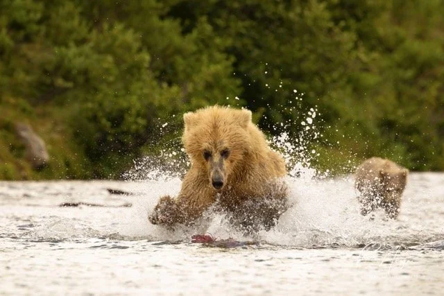 _C5A4914 2-2-Edit Medium.jpeg