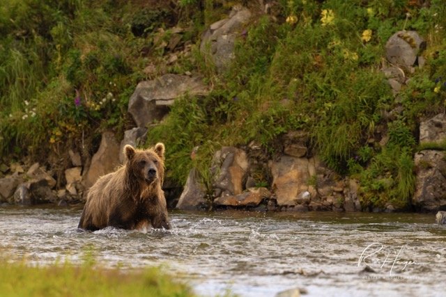 _C5A5199 2-2-Edit Medium.jpeg