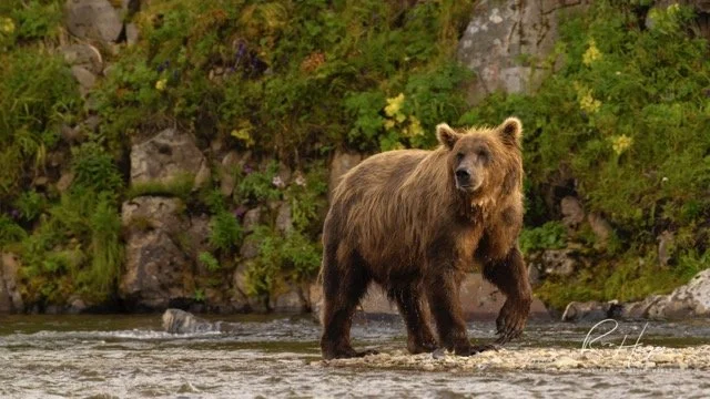 _C5A5220-2-Edit Medium.jpeg