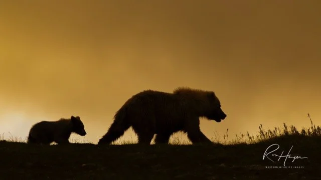 _C5A5446 2-2-Edit Medium.jpeg