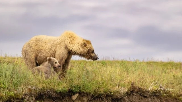 _C5A7150-2-Edit Medium.jpeg