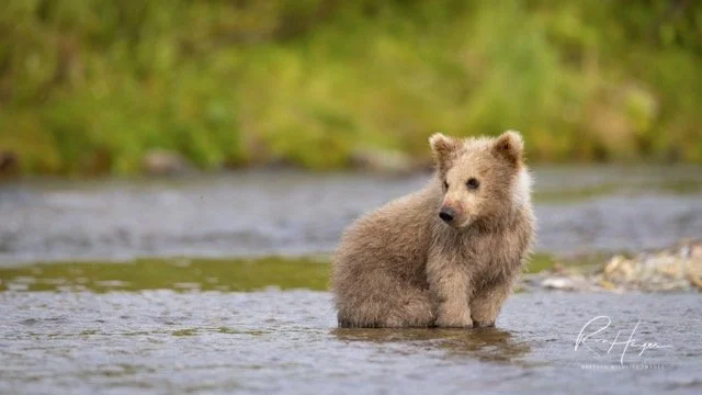 _C5A7563-2-Edit Medium.jpeg