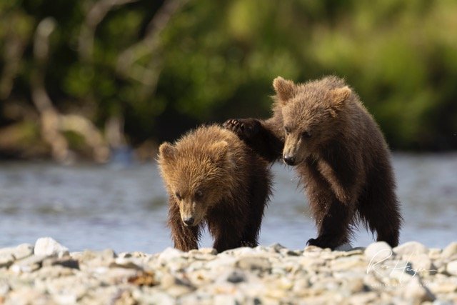 _C5A7696-2-Edit Medium.jpeg