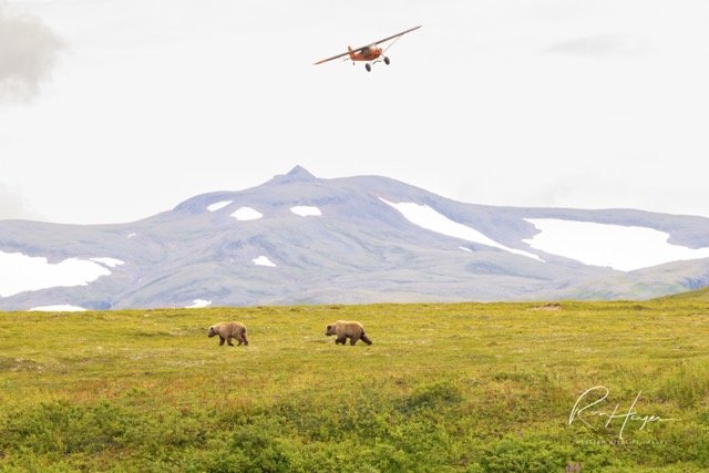 _C5A7802-2-Edit Medium.jpeg