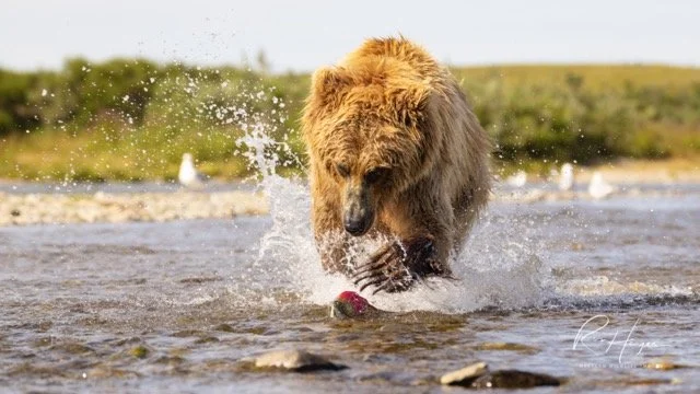 _C5A7847-3-Edit Medium.jpeg