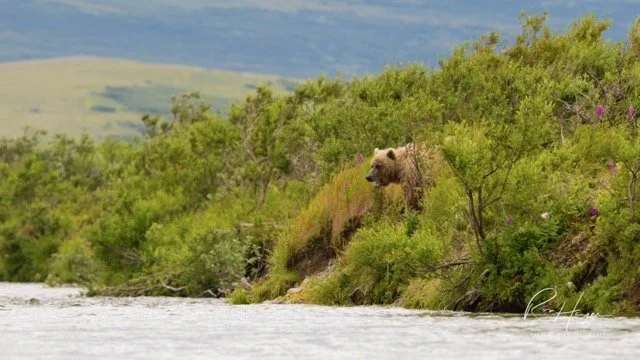 _C5A7937 2-2-Edit Medium.jpeg