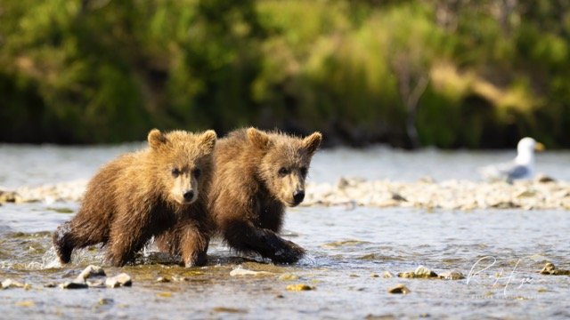 _C5A7954-Enhanced-NR-2 Medium.jpeg