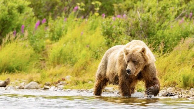 _C5A8062 2-2 Medium.jpeg