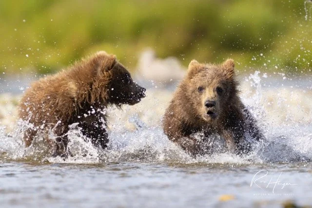 _C5A8346-2-Edit Medium.jpeg