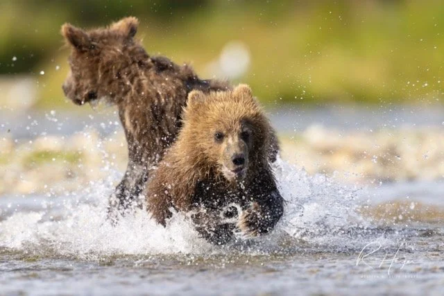 _C5A8366-Enhanced-NR-2 Medium.jpeg