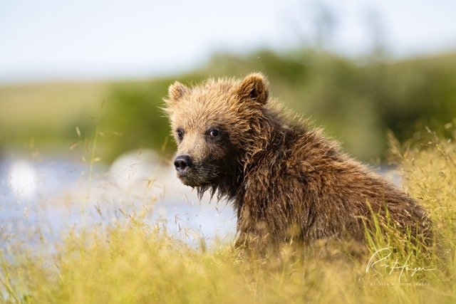 _C5A8406-2-Edit Medium.jpeg