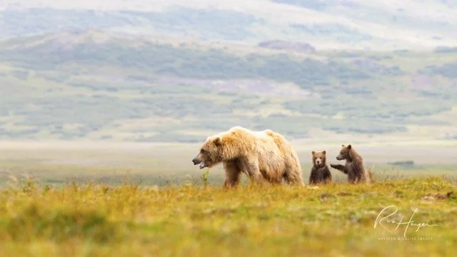 _C5A8498-2-Edit Medium.jpeg