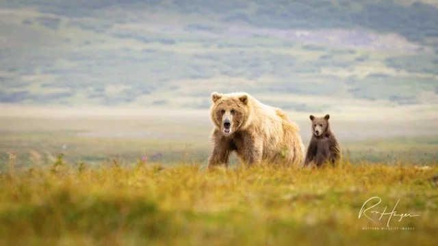 _C5A8536-2-Edit Medium.jpeg