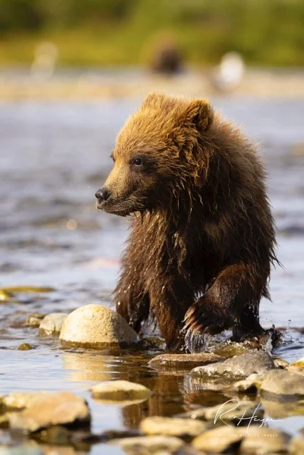 _C5A8551-2-Edit Medium.jpeg