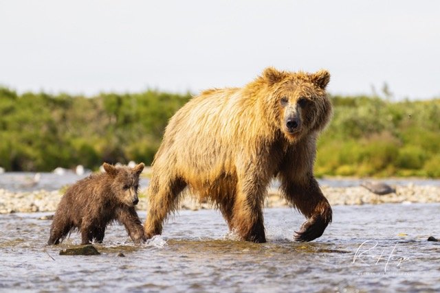 _C5A8594-2-Edit Medium.jpeg