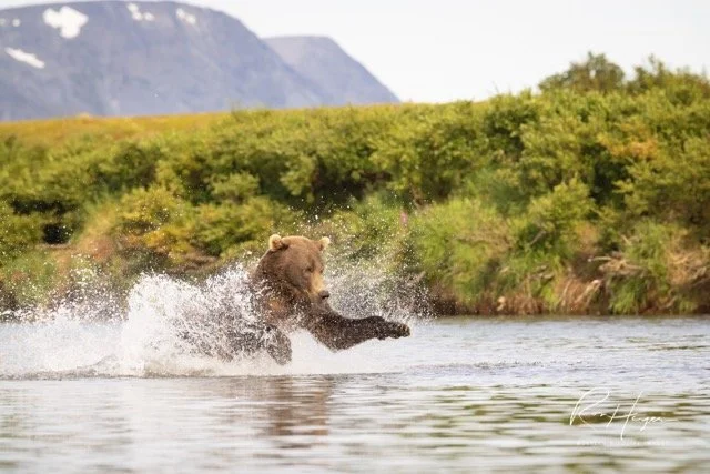 _C5A9502-2-Edit Medium.jpeg